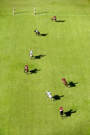 polo_field-equestrian-vert